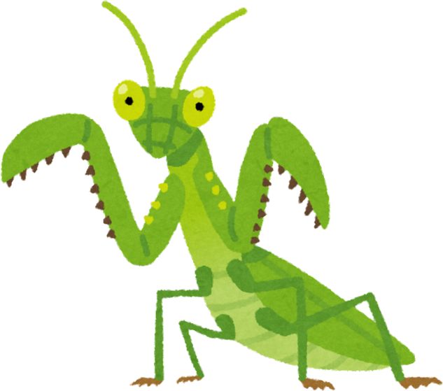 Illustration of a Green Praying Mantis